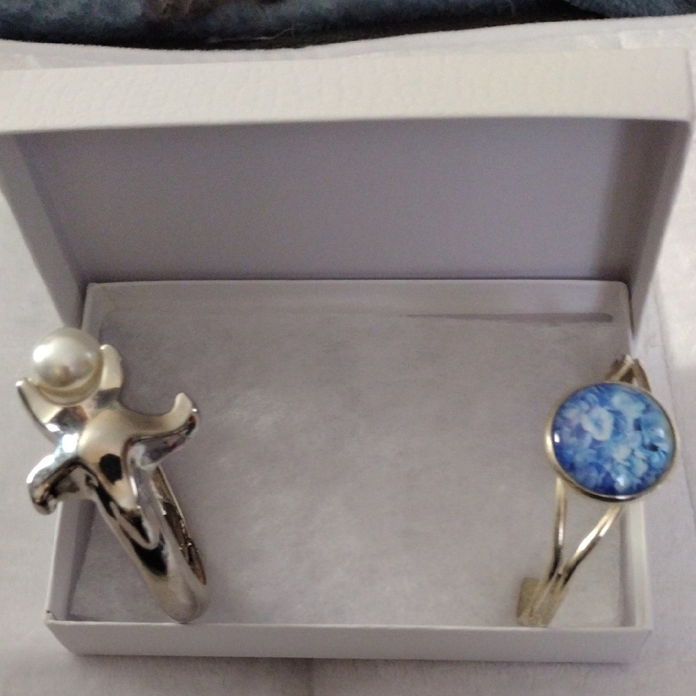 Silver and Blue Women's Jewelry Set